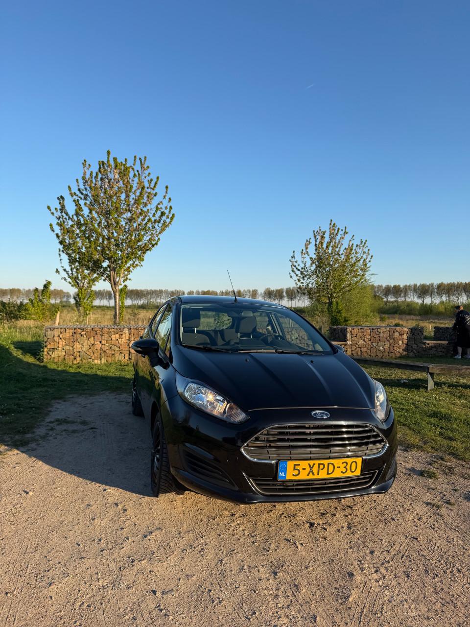 Ford Fiësta 1.0 59KW/80PK 5D 2014 Zwart
