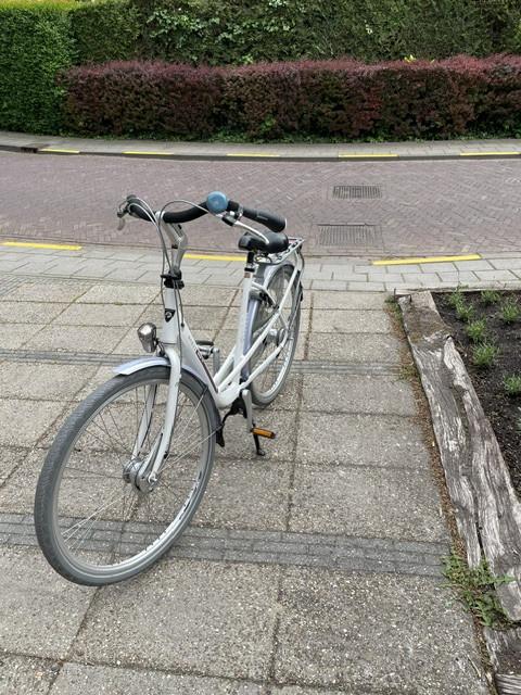 Mooie Batavus Mambo