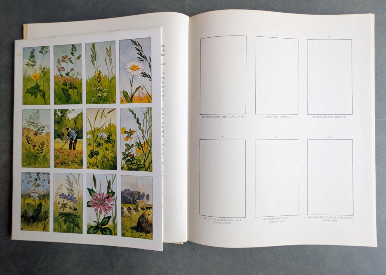 Vier Verkade albums+ bijbehorende plaatjes