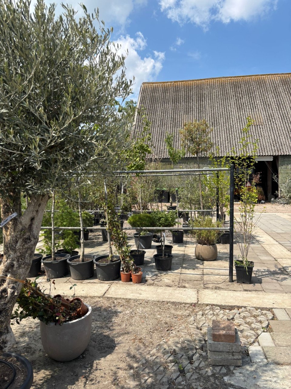 30% korting op alle planten, bomen en potten!