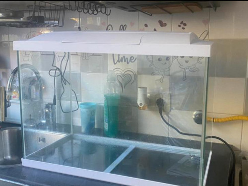 Aquarium