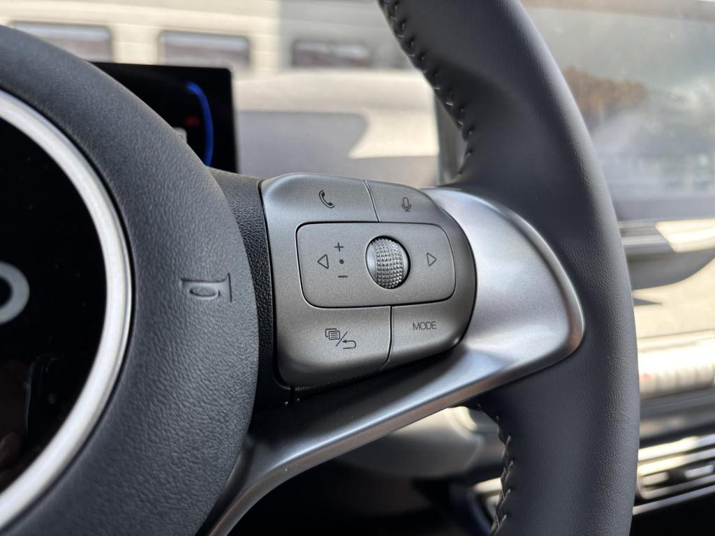 Byd Dolphin Surf comfort 43 kwh