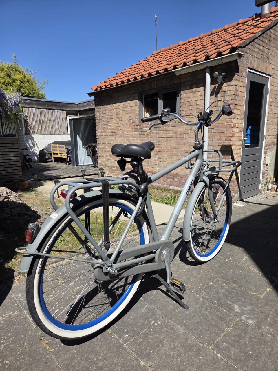 Herenfiets Giant Triple X 2 Grijs