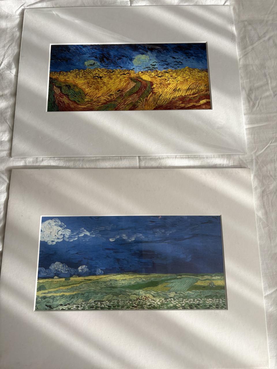Van Gogh prints met passe partout
