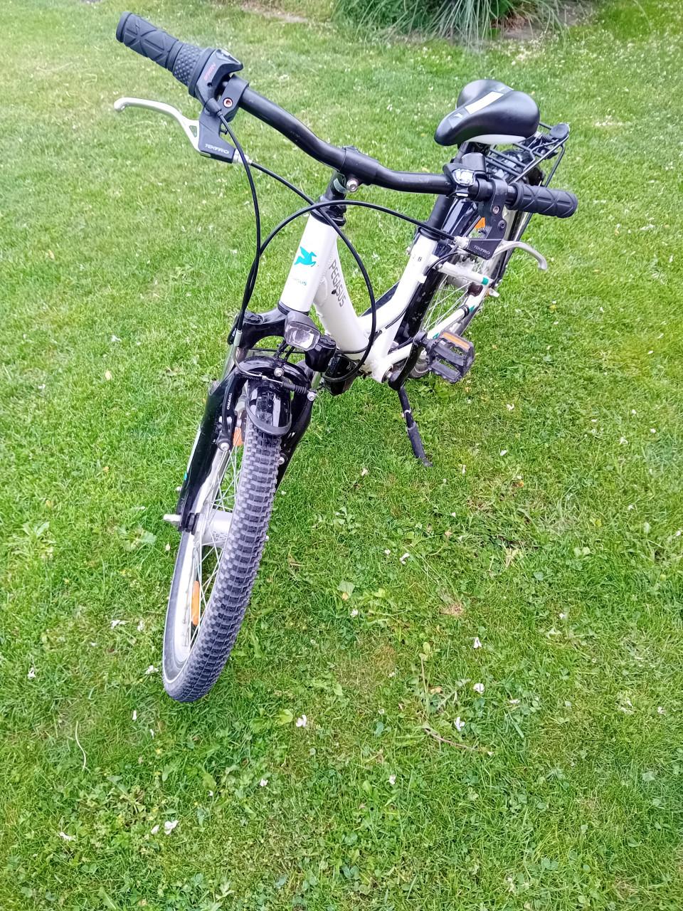 Pegasus kinderfiets 20 inch