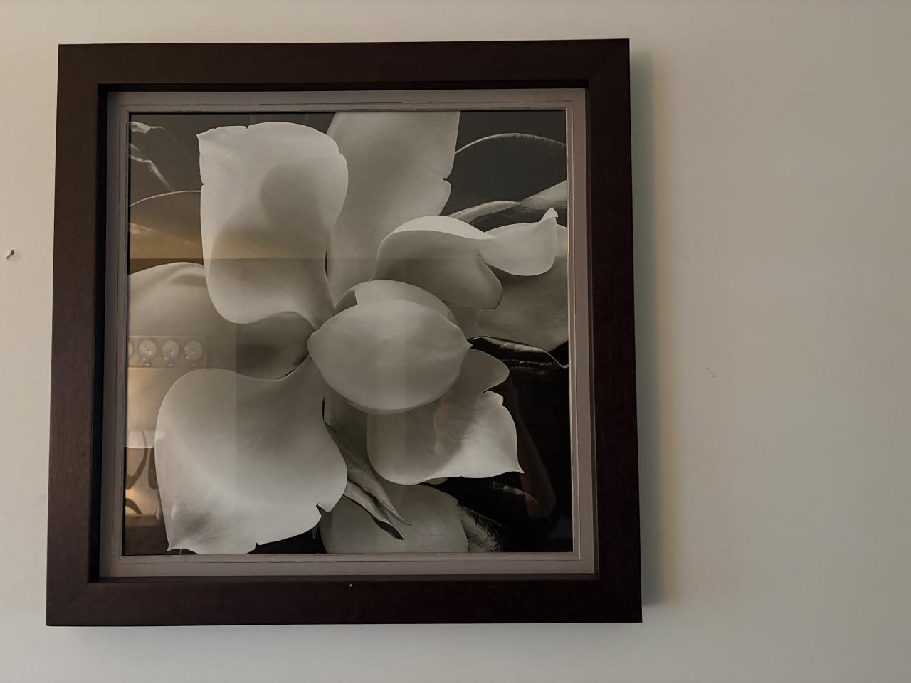 Schilderijen Magnolia bloem