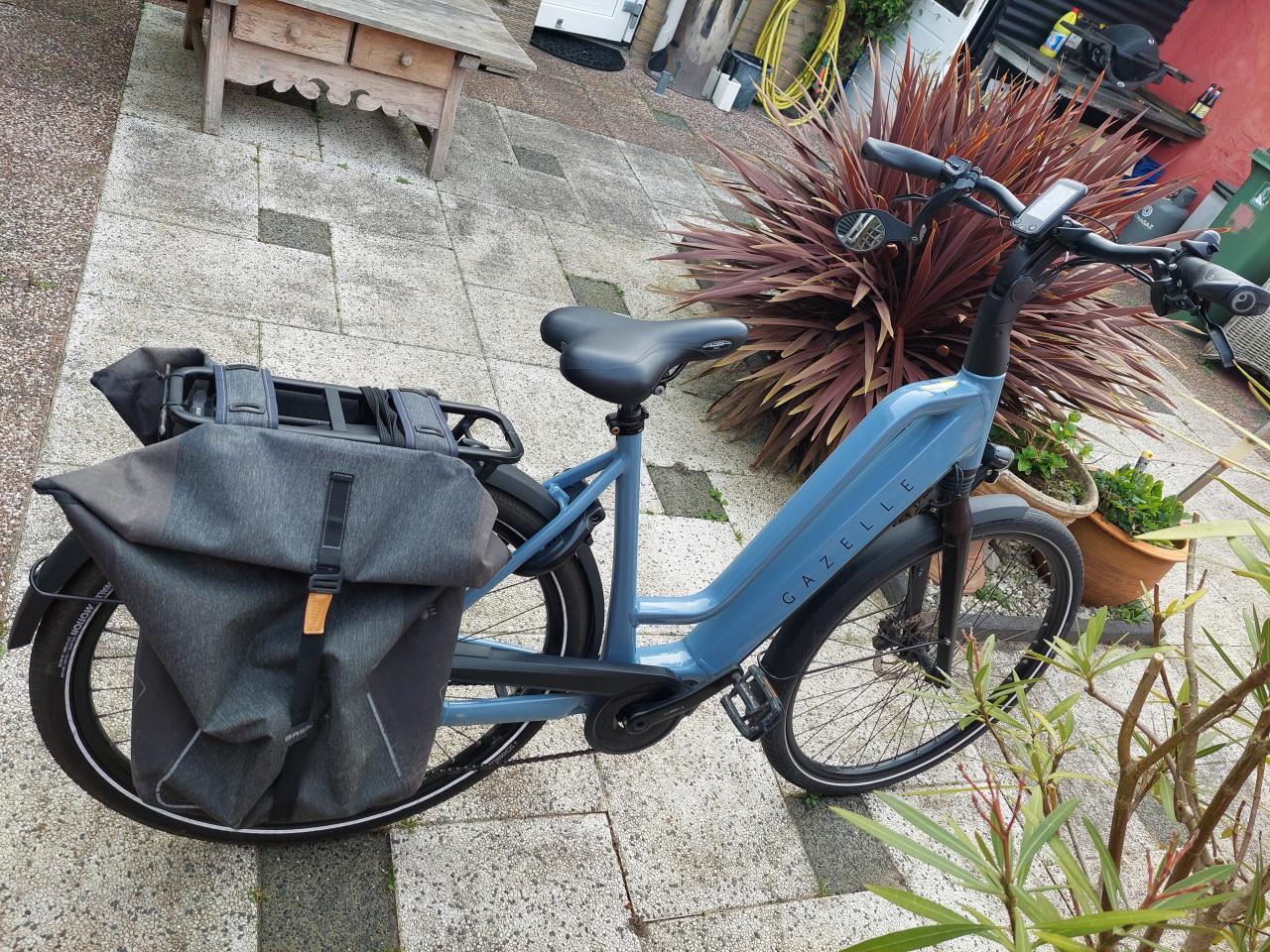 Gazelle Chamonix T10 grey/blue 53