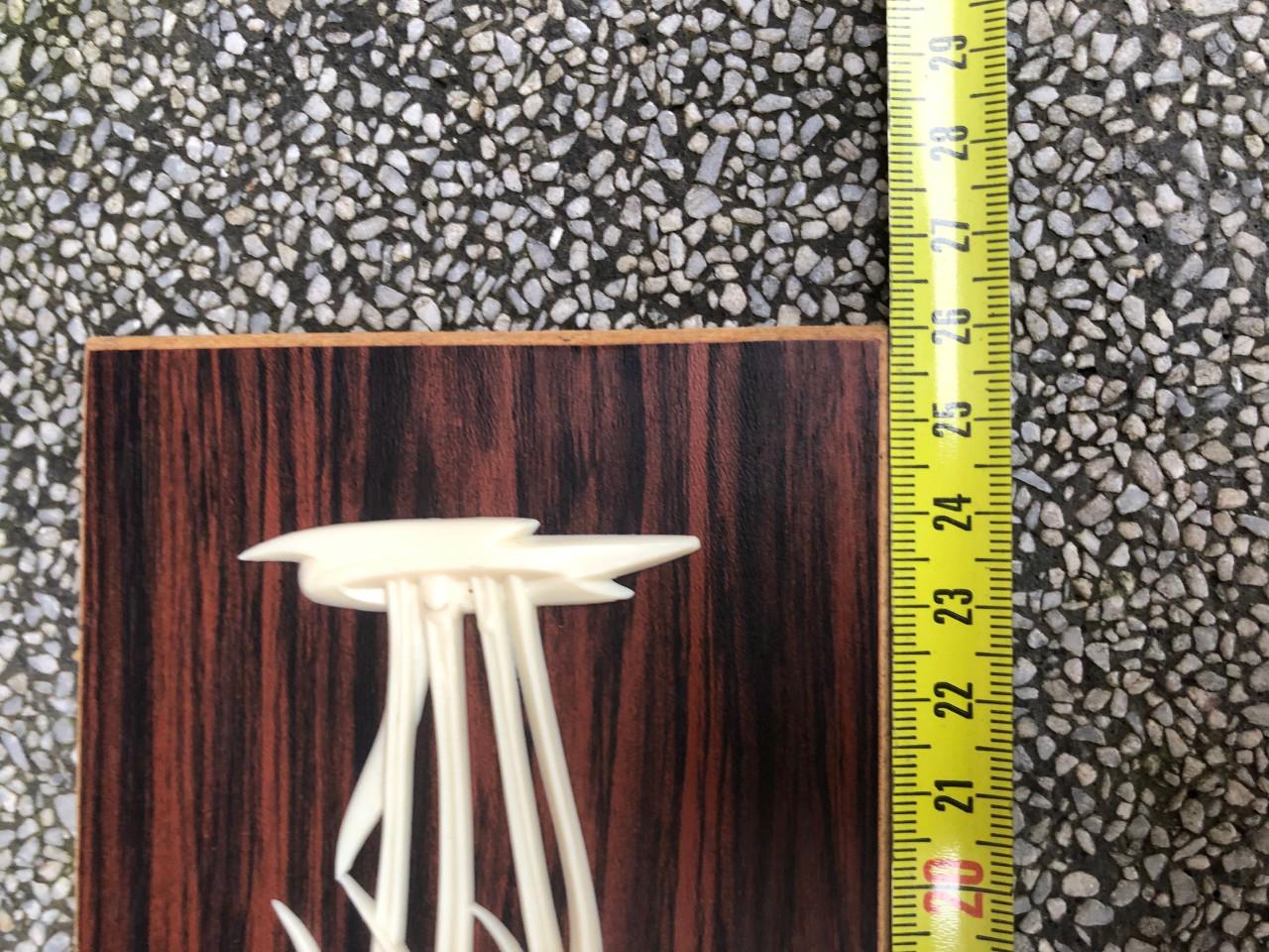 Vintage wanddecoratie met vissen