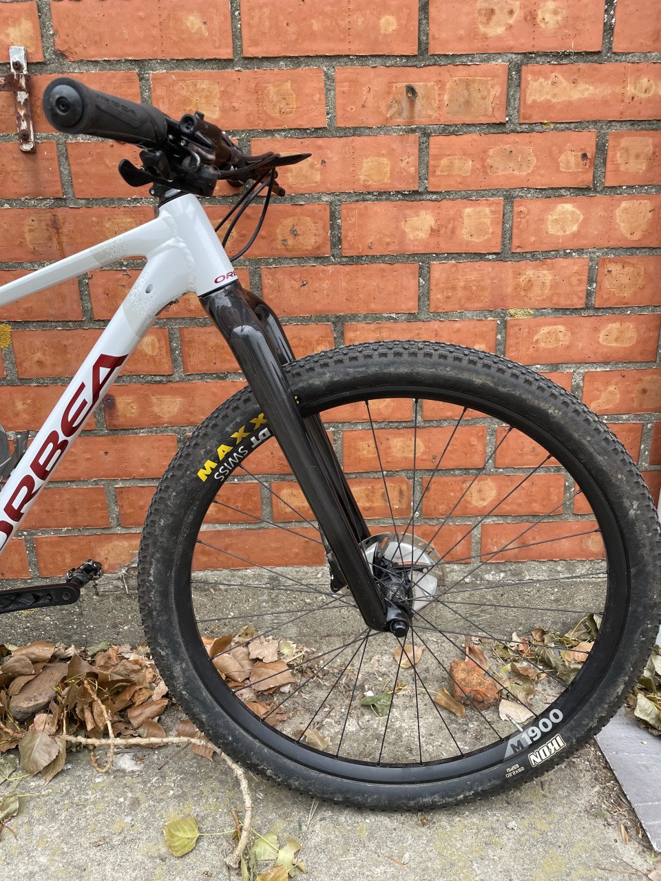 Orbea alma met carbon voorvork en dt swiss wielen