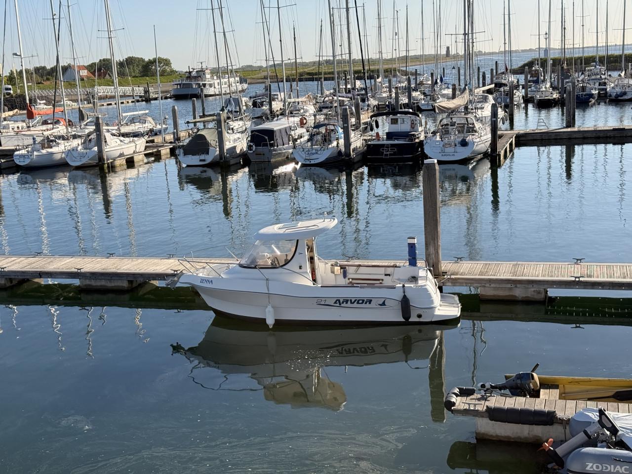 Visboot arvor 21