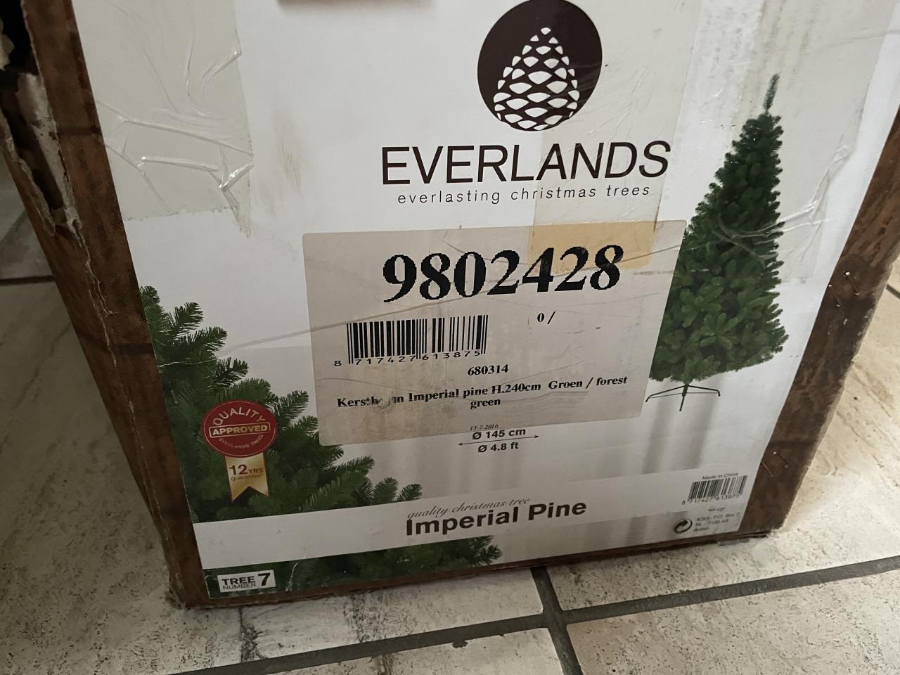 Kerstboom