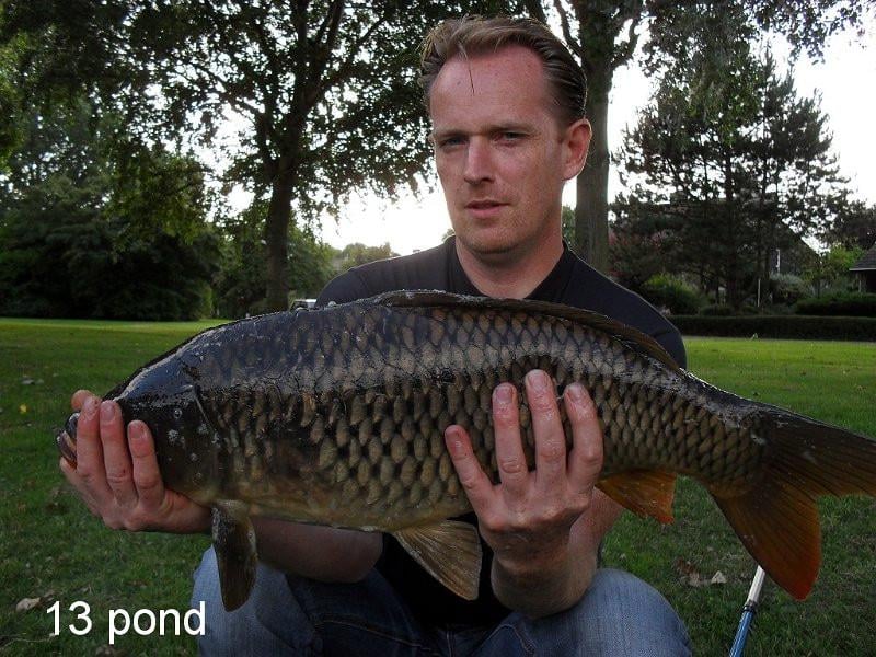 Voor een nieuwe visseizoen in 2026 voor maar€17,50 kom om je visvergunning