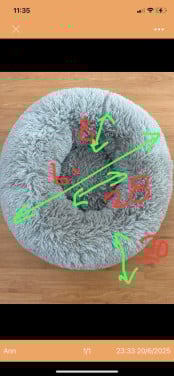 Donut kat of kleine hond