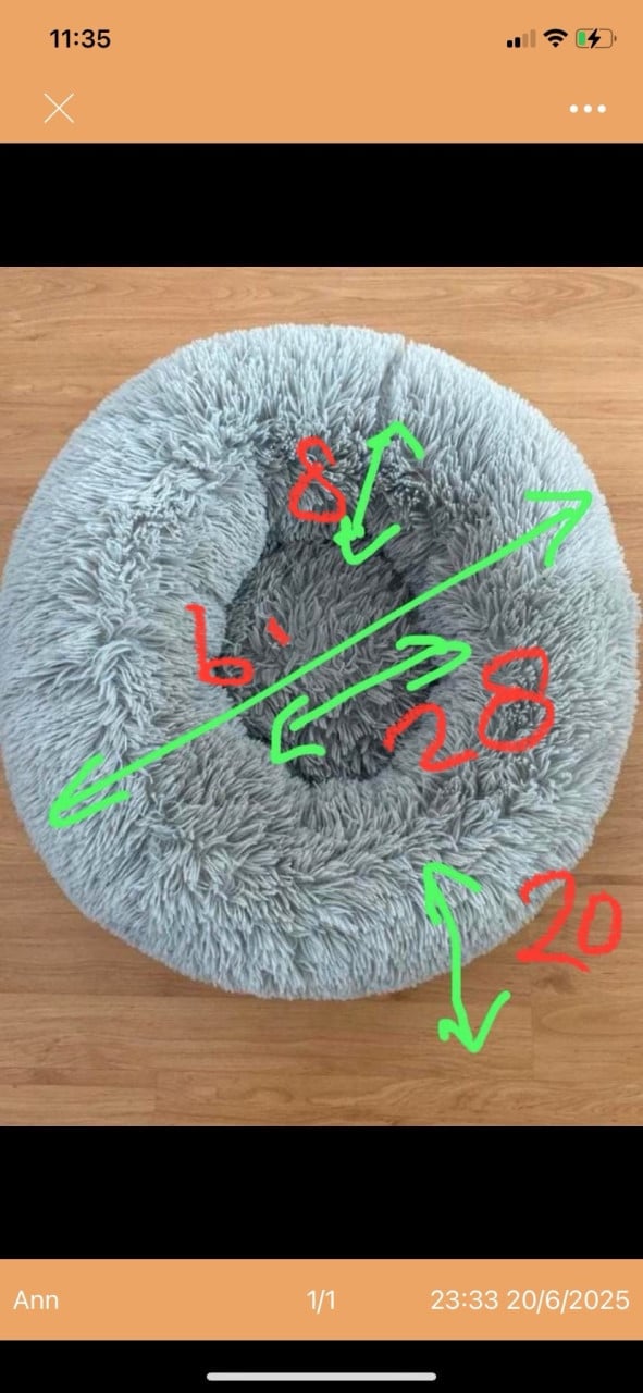 Donut kat of kleine hond