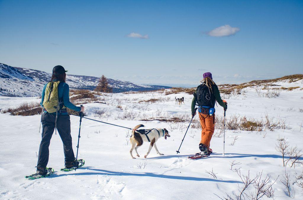 Non-stop Dogwear Ferd Belt heuphordel zgan!