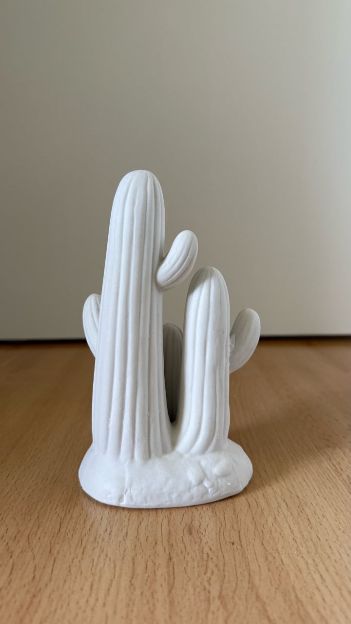 Decoratie Cactus