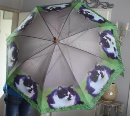 Paraplu met katten print
