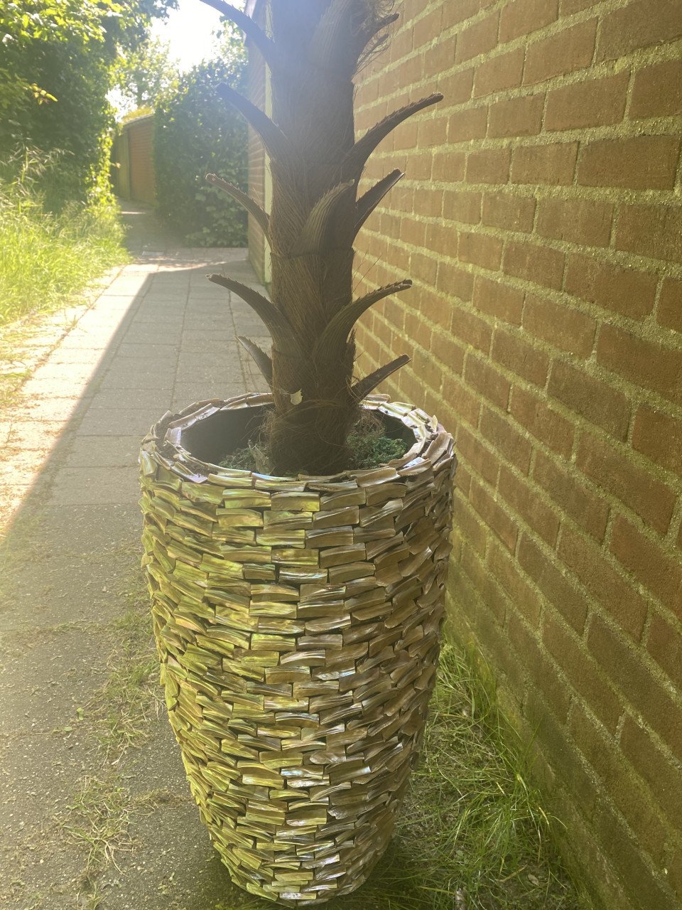 Eric kuster style vaas incl palmboom