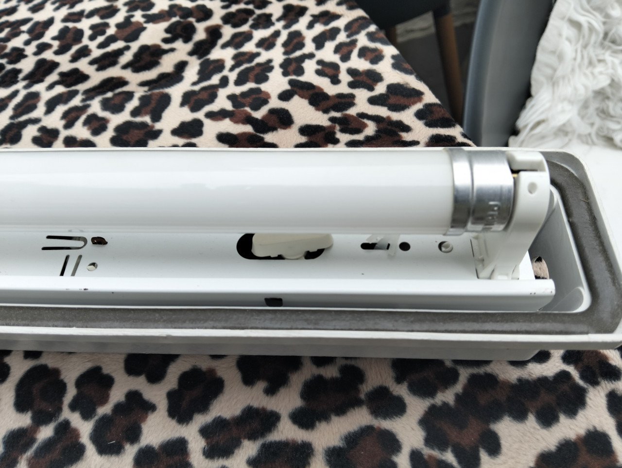 TL lampen te koop