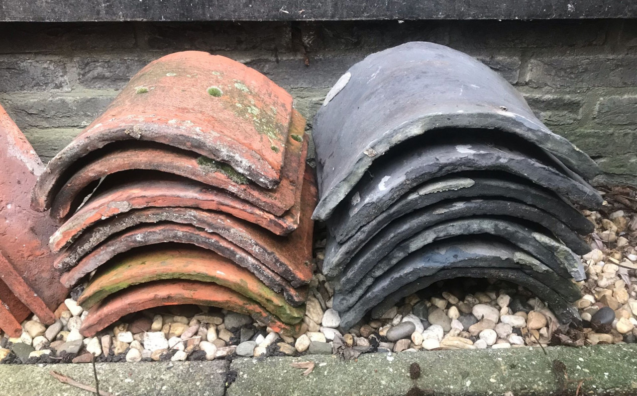 Nokvorsten (diverse types)