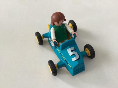 Playmobil. Klein.  20 poppetjes, 3 paardjes, hond en kat en race-auto.