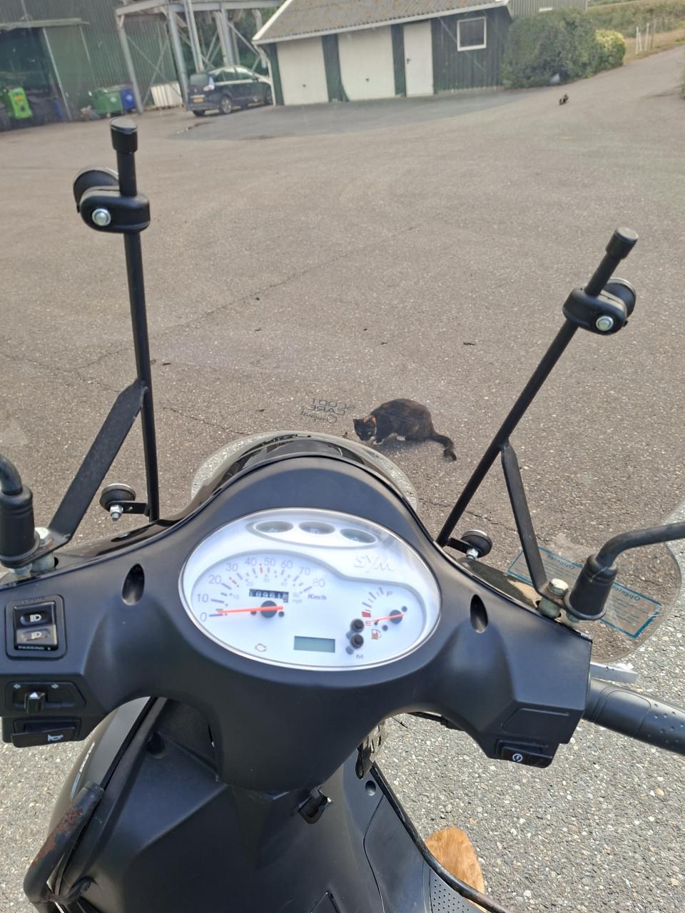Scooter