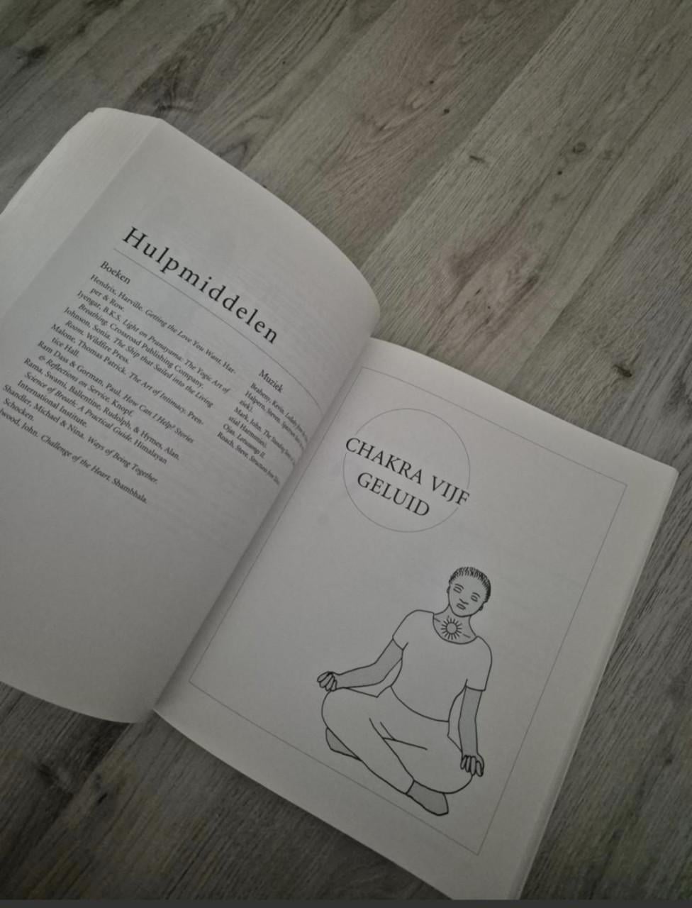 Reis door de Chakra's