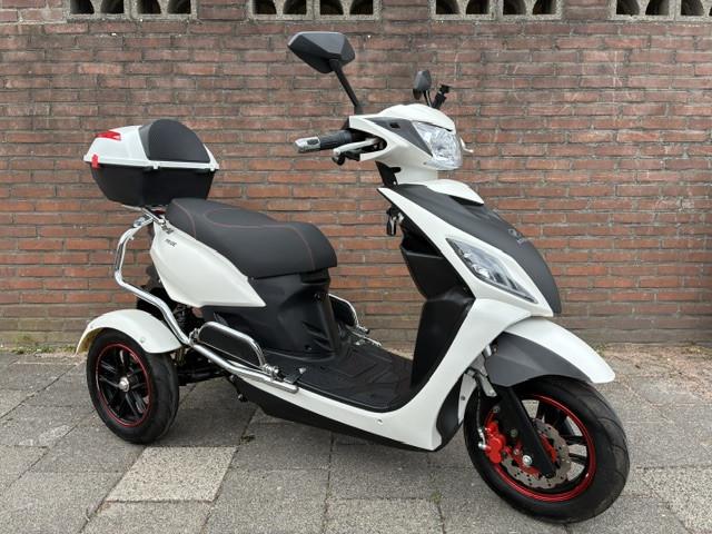 GEEN RIJBEWIJS ? NIET NODIG MET DEZE STOERE NIPPONIA PRIDE !