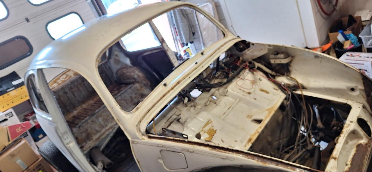 VW Kever