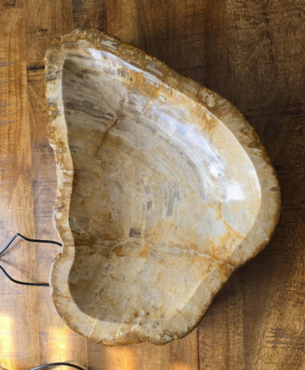 Schaal van versteend hout