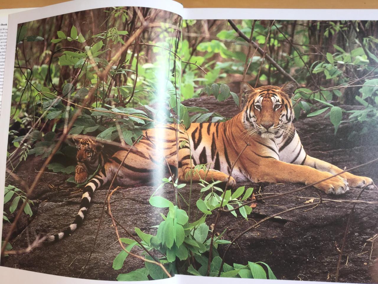 India's wild wonders Rajesh Bedi