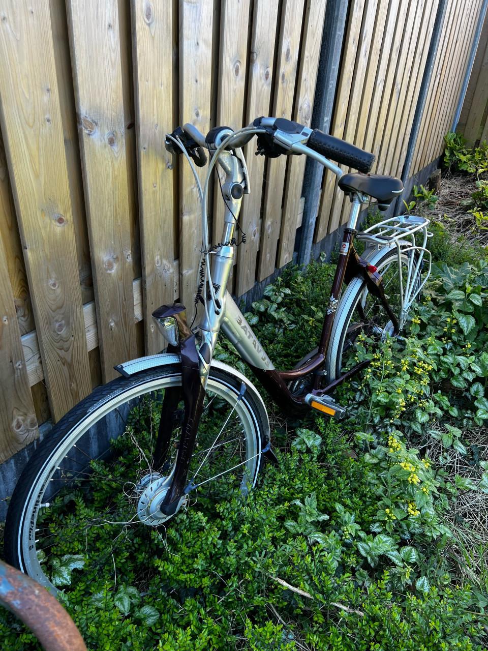 Bataves Dames Fiets om op te knappen