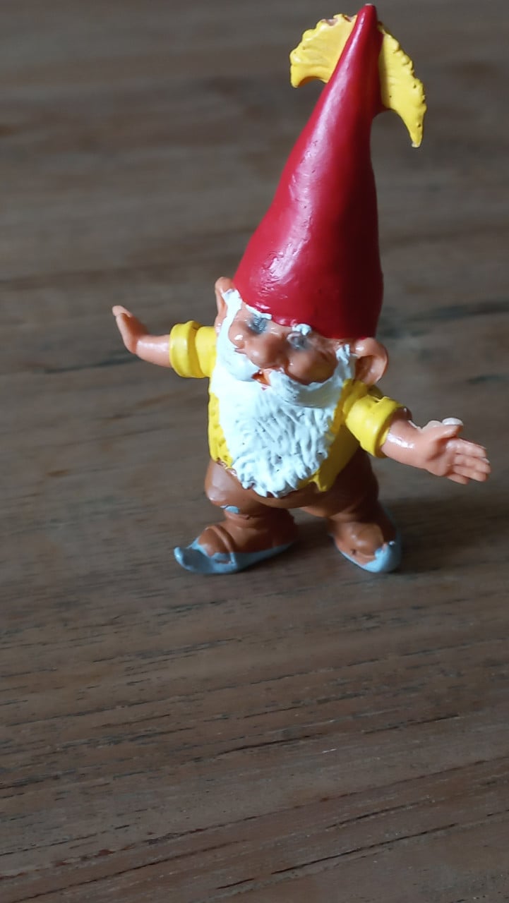 Vintage kabouters, rien poortvliet