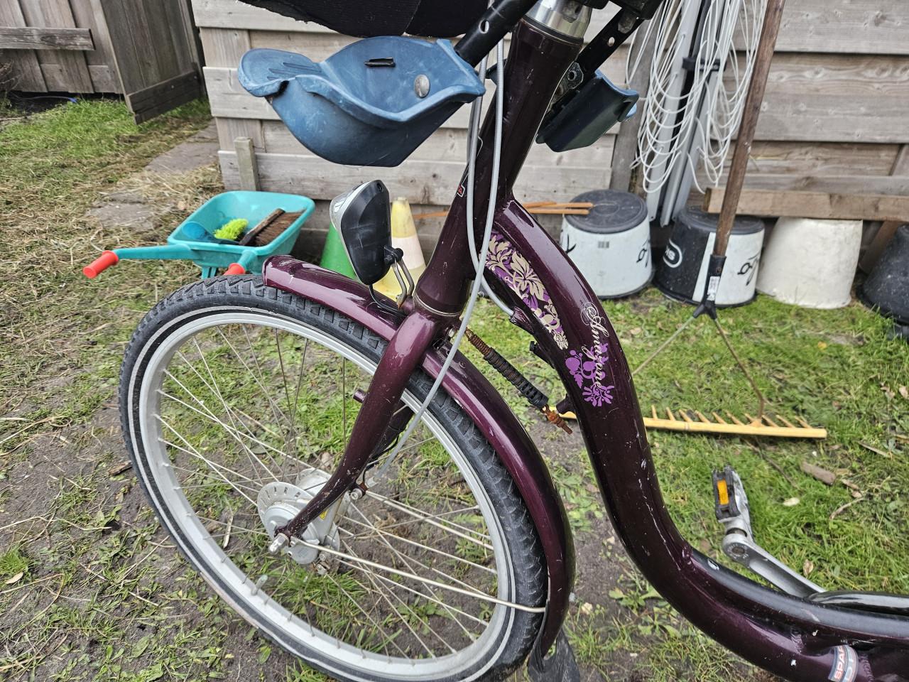 Moederfiets