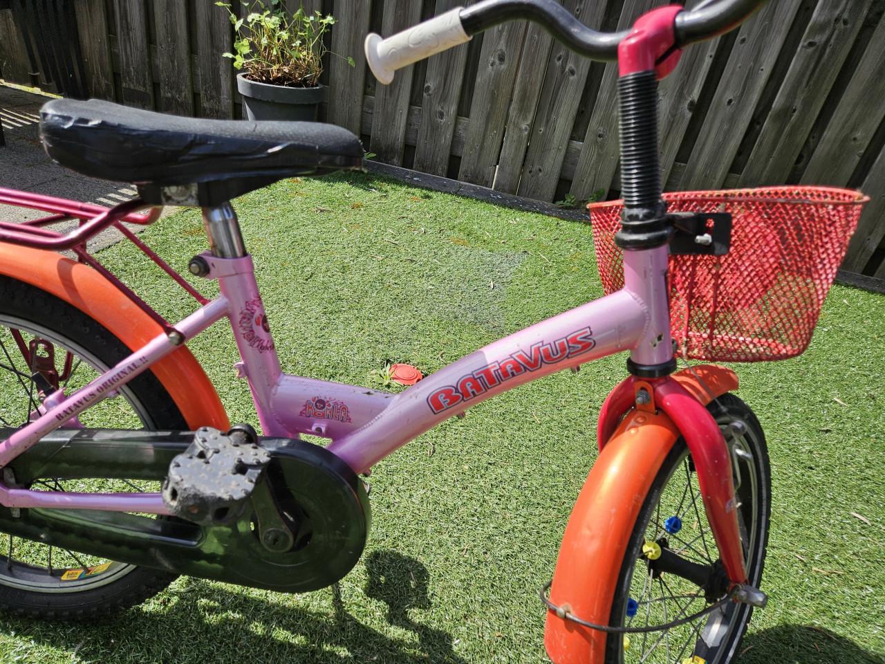 Batavus Koala 16 inch