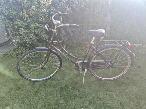 Cortina fiets, station, studentenfiets