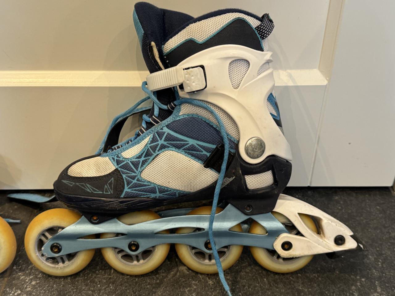 Skeelers