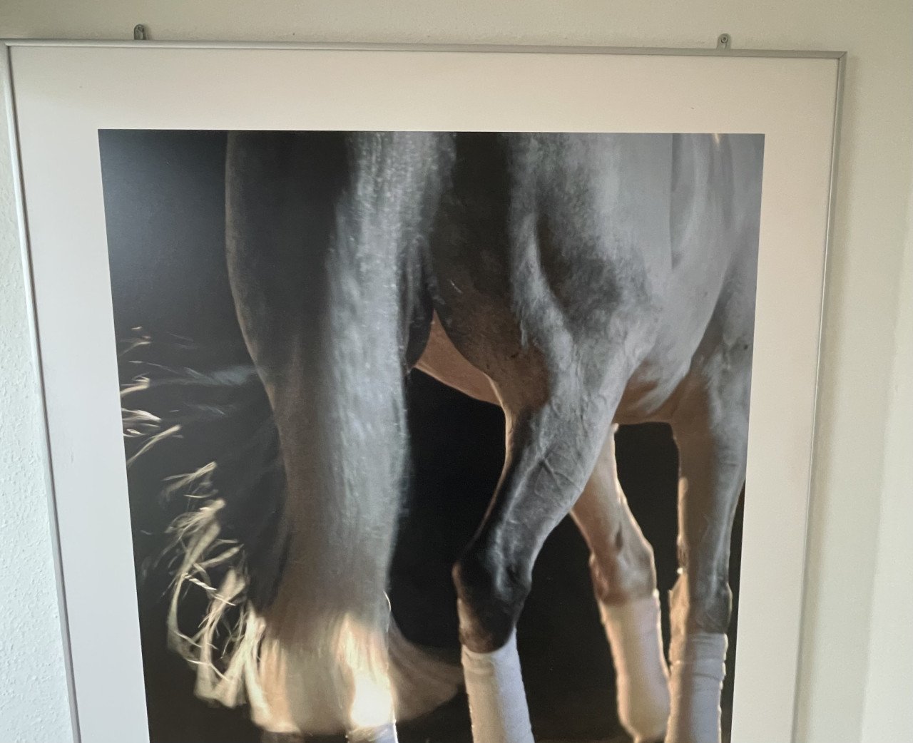 Paard poster