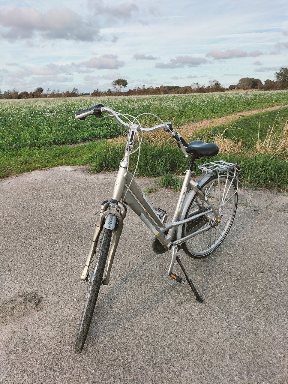 Batavus & Sparta damesfietsen