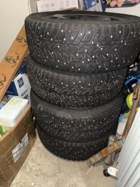 Spijkerbanden 205/55 R16