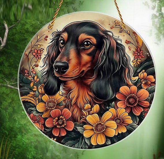 Raamhanger teckel ( ruwhaar teckel )