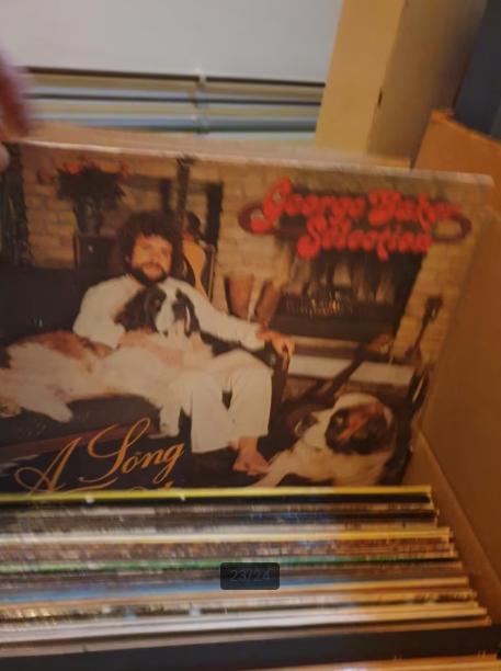 4 grote dozen elpees