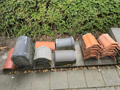 Nokvorsten (diverse types)