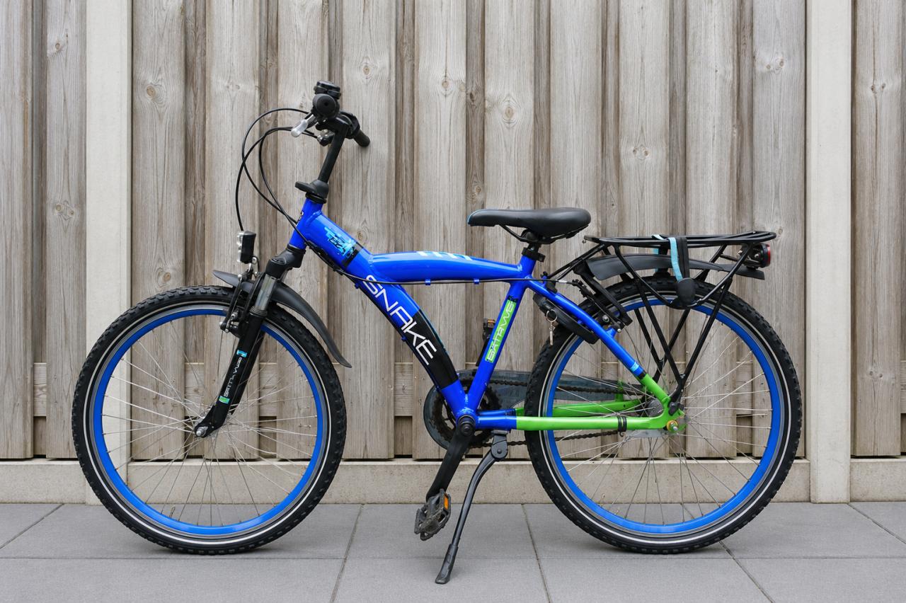 Batavus Snake 24 Inch | 3V | Verende Voorvork | Nieuw Model