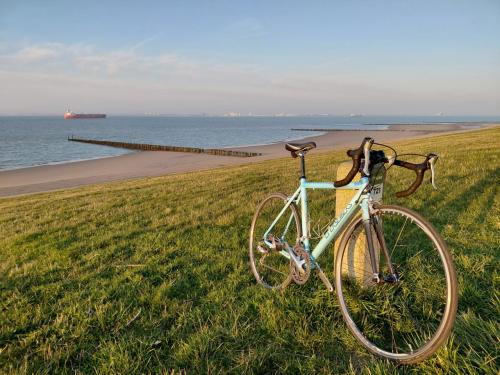 TREK - racefiets - 170/180 - Veere