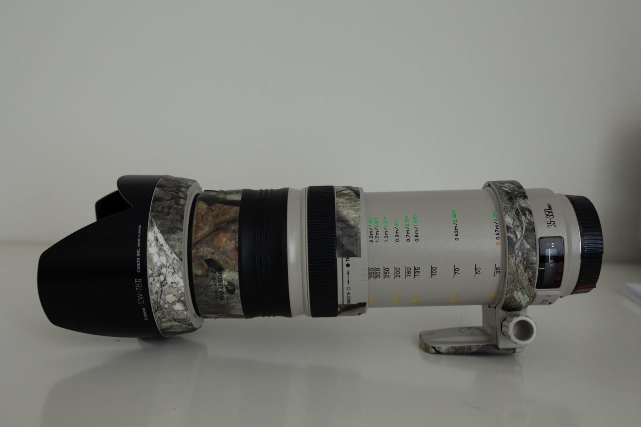 Canon objectiEF 35-350 mm