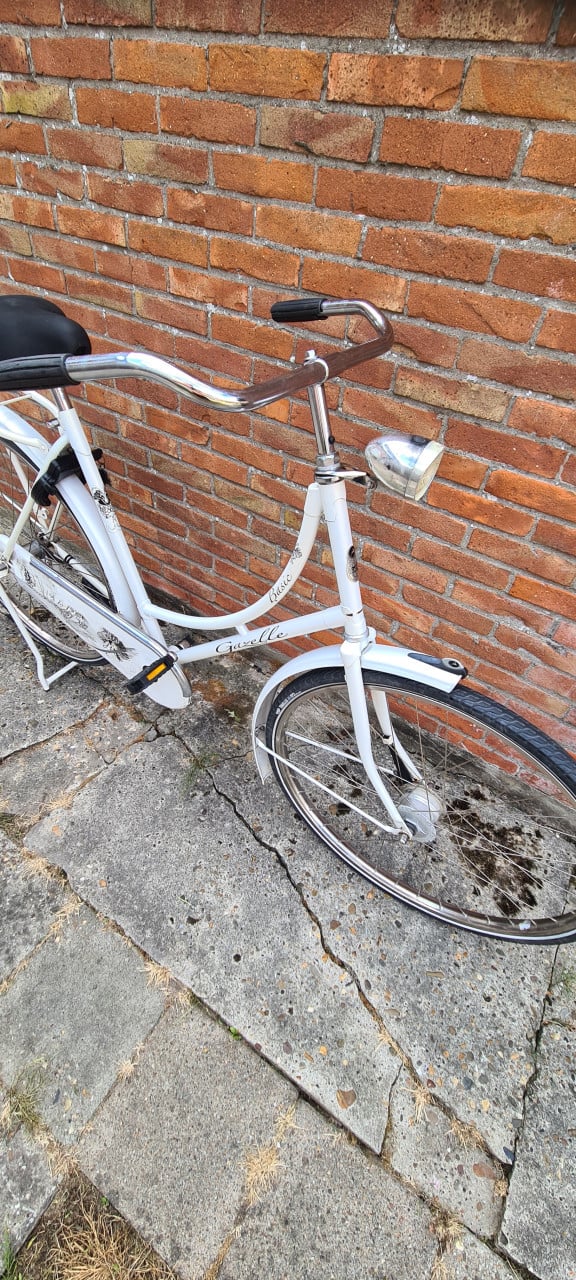 Gazelle Basic 28"