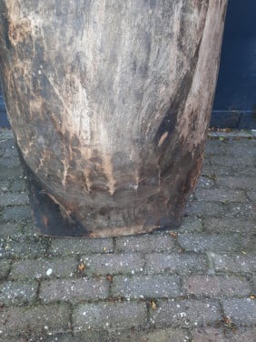 Houten Trog