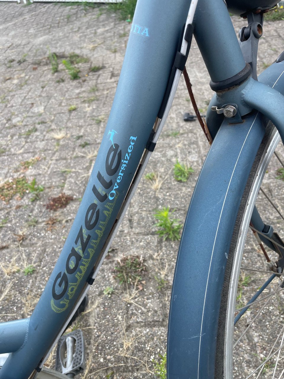 Gazelle laguna damesfiets