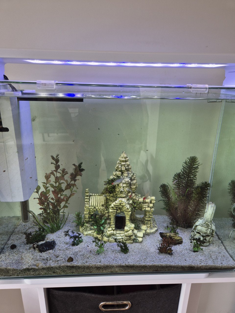 Aquarium Home 85 (inclusief meubel)